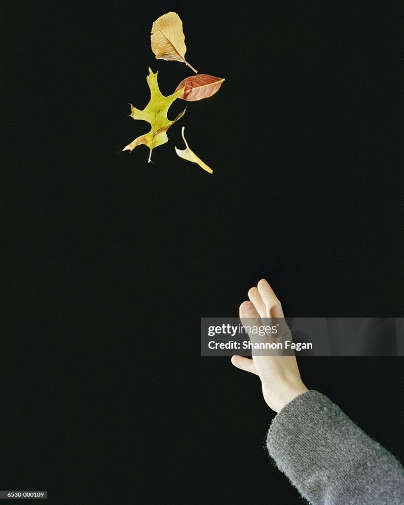 Boy's Hand Throwing Leaves