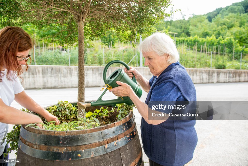 Senior Woman Gardening in The Retirement Home