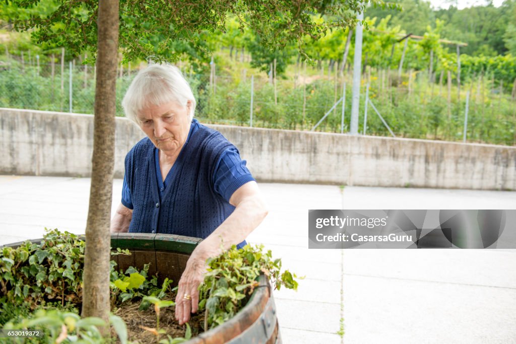 Ältere Frau Gartenarbeit in das Seniorenheim