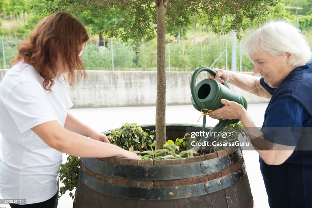 Senior Woman Gardening in The Retirement Home