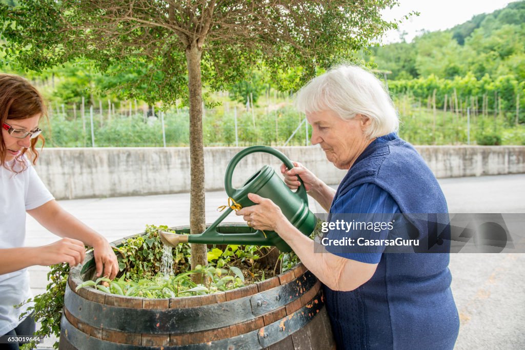 Senior Woman Gardening in The Retirement Home
