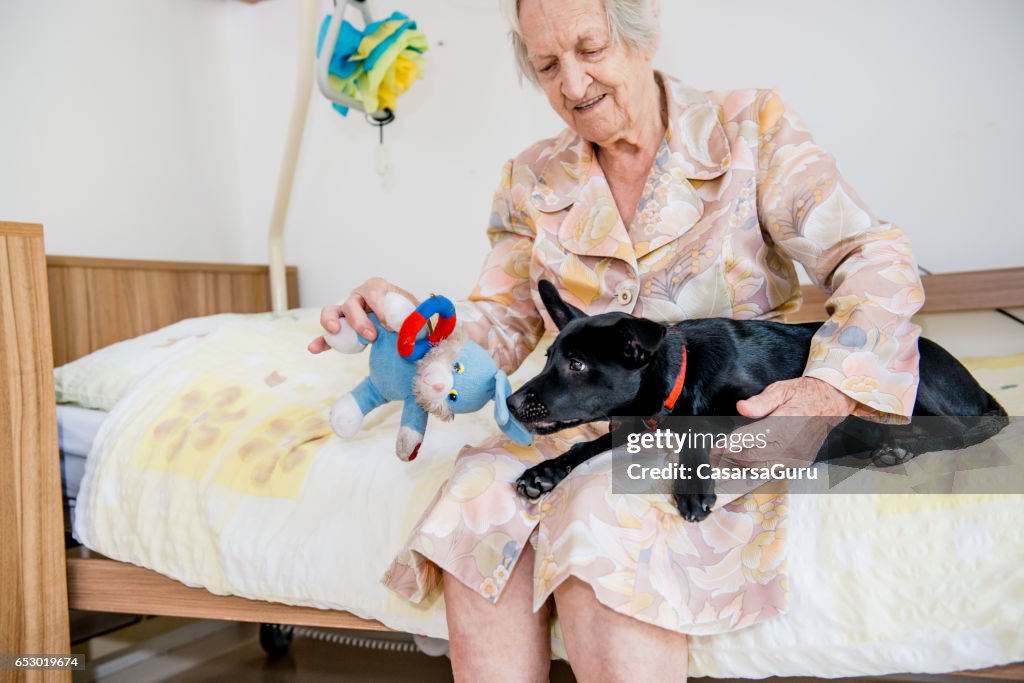 Senior Frau spielt mit ihrem Hund In das Seniorenheim