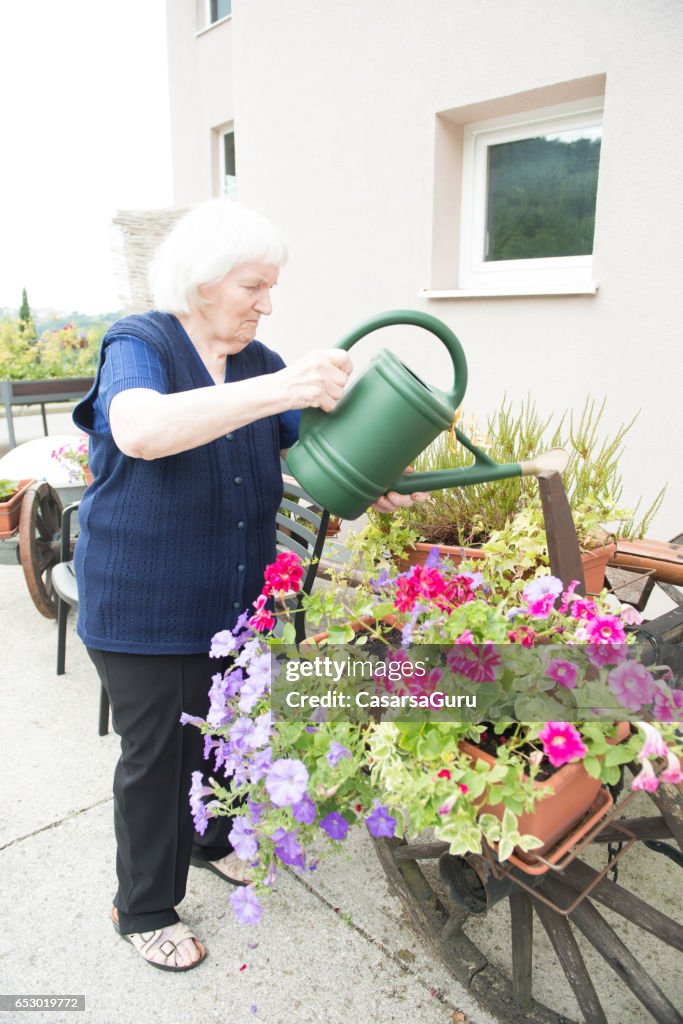 Ältere Frau Gartenarbeit in das Seniorenheim