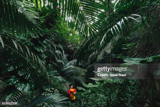 father holding his child in jungle, iriomote, okinawa, japan - bosque primario fotografías e imágenes de stock