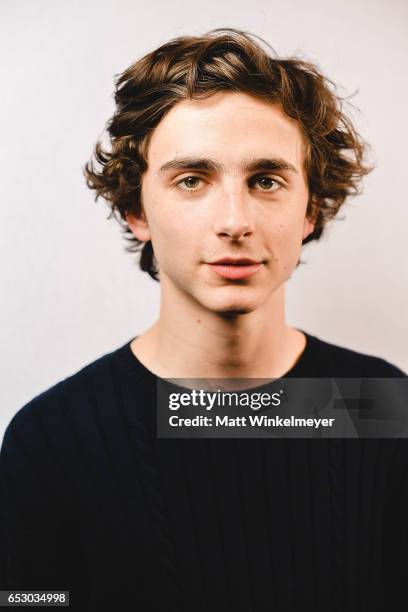Actor Timothee Chalamet poses for a portrait during the "Hot Summer Nights" premiere 2017 SXSW Conference and Festivals 13, 2017 in Austin, Texas.