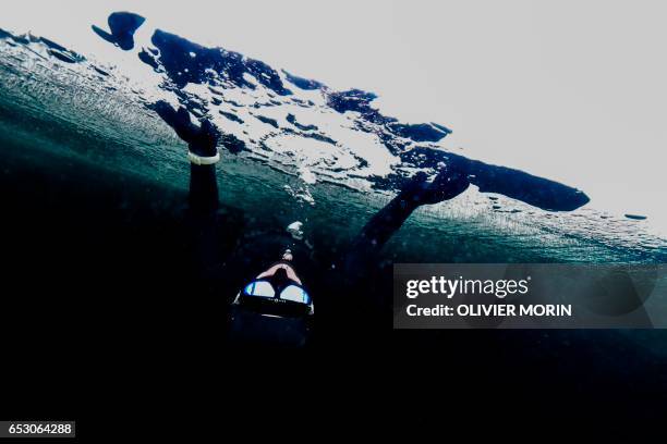 Johanna Nordblad Finnish freediver swims under ice during a Ice-freediving training session on February 28 in Somero . - The ice is about 45cm thick,...