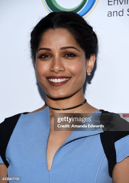 Actress Freida Pinto arrives at the UCLA Institute of the Environment and Sustainability Innovators for a Healthy Planet celebration on March 13,...