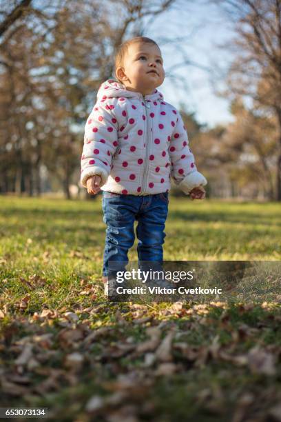 baby girl - toddler - baby girls stock pictures, royalty-free photos & images