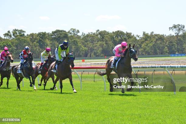 Havana Haymaker ridden by Steven Arnold leads the field in Ron Barassi SV Maiden Plate at Bendigo Racecourse on March 14, 2017 in Bendigo, Australia.