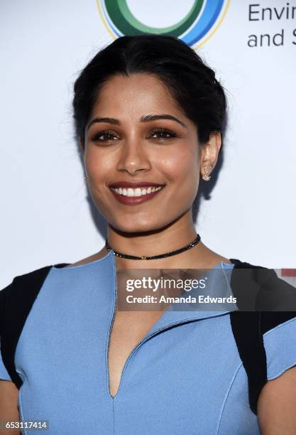 Actress Freida Pinto arrives at the UCLA Institute of the Environment and Sustainability Innovators for a Healthy Planet celebration on March 13,...