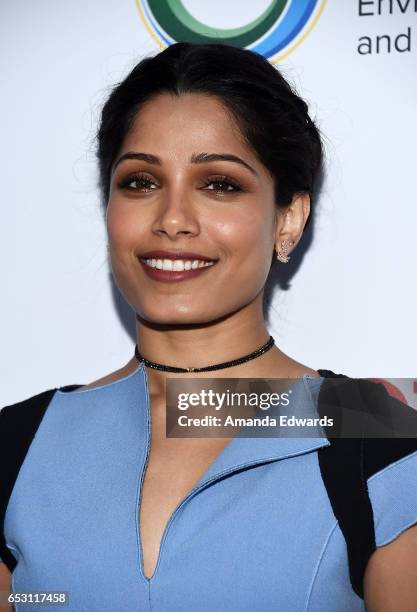 Actress Freida Pinto arrives at the UCLA Institute of the Environment and Sustainability Innovators for a Healthy Planet celebration on March 13,...