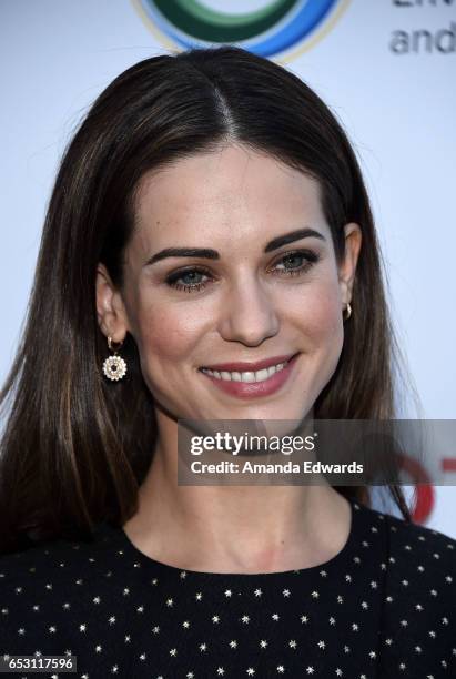 Actress Lyndsy Fonseca arrives at the UCLA Institute of the Environment and Sustainability Innovators for a Healthy Planet celebration on March 13,...