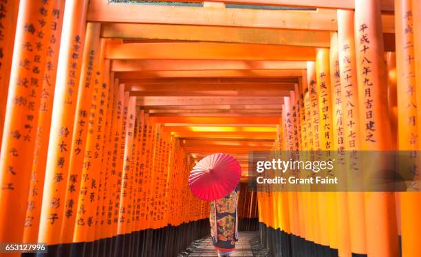 tori gates. - fushimi inari schrein stock-fotos und bilder