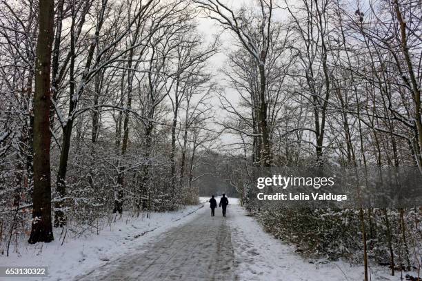 on the trails of amsterdamse bos. - relaxamento stockfoto's en -beelden