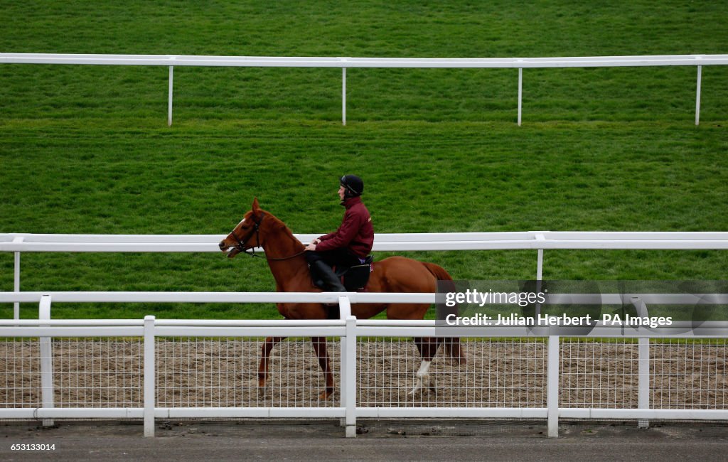 2017 Cheltenham Festival - Champion Day - Cheltenham Racecourse