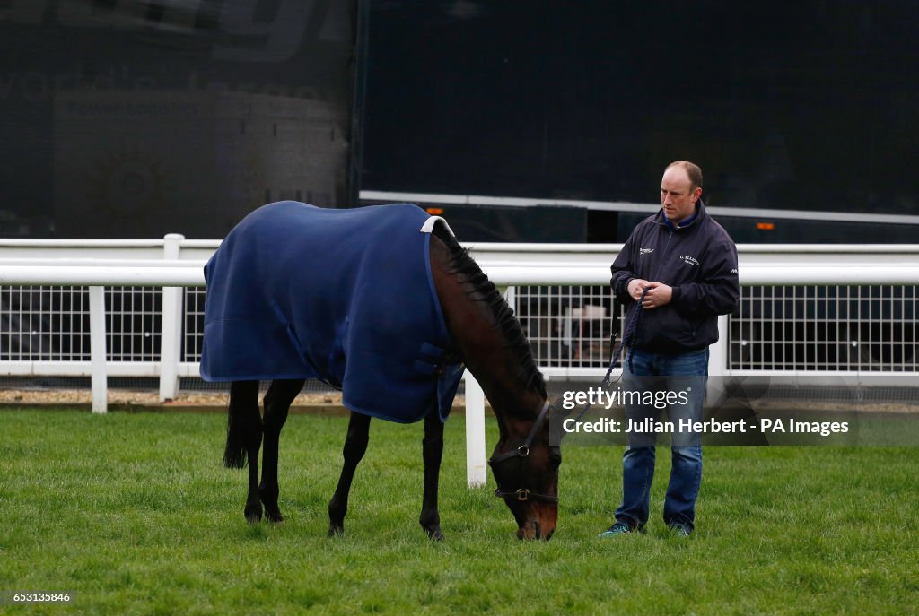 2017 Cheltenham Festival - Champion Day - Cheltenham Racecourse