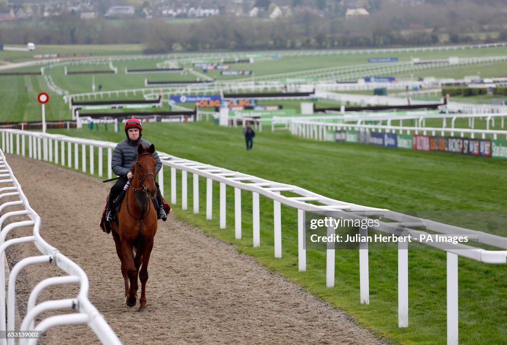 2017 Cheltenham Festival - Champion Day - Cheltenham Racecourse