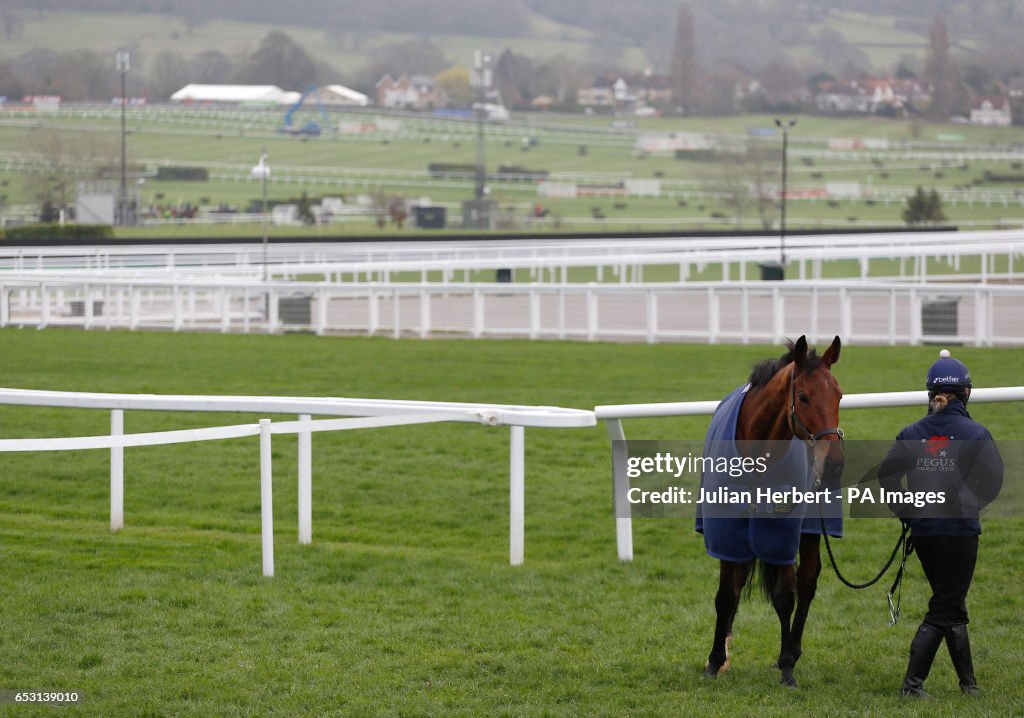 2017 Cheltenham Festival - Champion Day - Cheltenham Racecourse