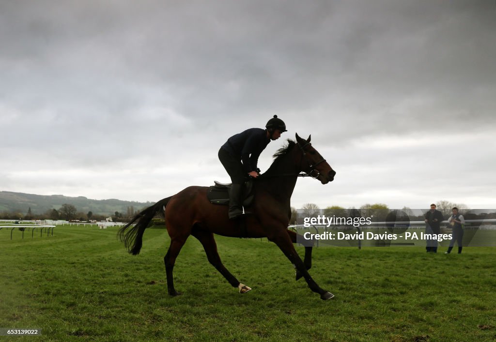 2017 Cheltenham Festival - Champion Day - Cheltenham Racecourse