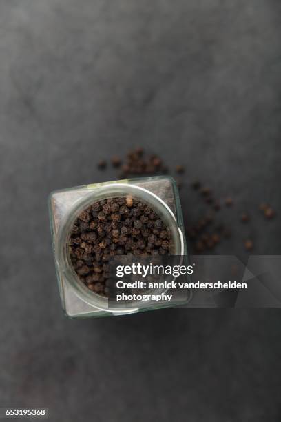 black pepper (piper nigrum). - belgium india stock pictures, royalty-free photos & images