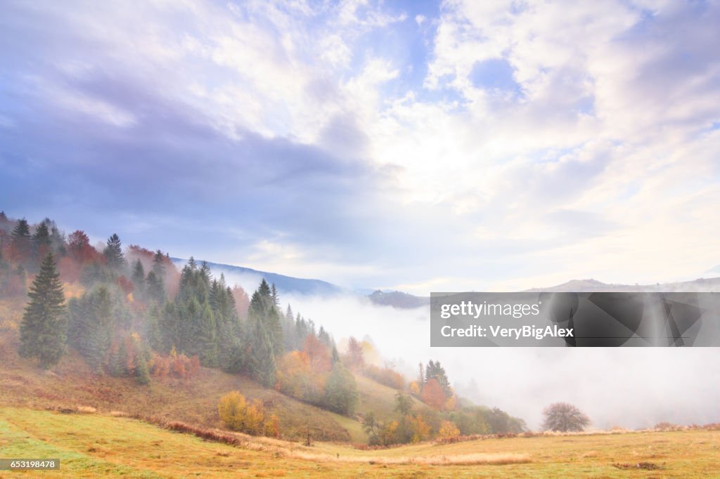 Herbstlandschaft mit Nebel in den Bergen. Tannenwald auf den Hügeln. Karpaten, Ukraine, Europa