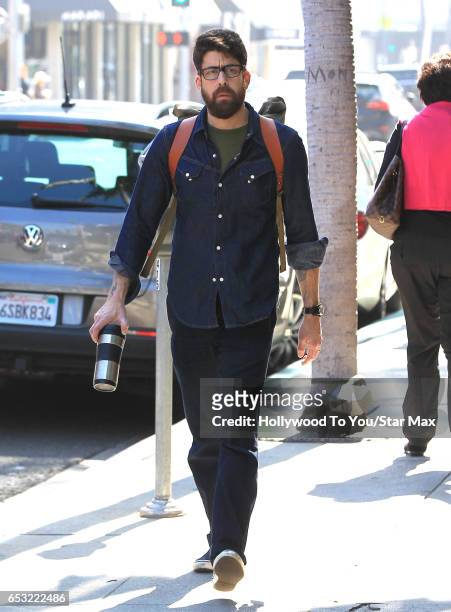 Actor Adam Goldberg is seen on March 13, 2017 in Los Angeles, CA.