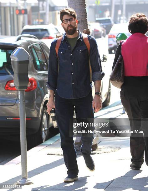 Actor Adam Goldberg is seen on March 13, 2017 in Los Angeles, CA.