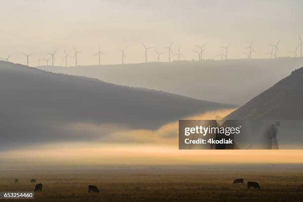 windturbines - tehachapi mountains stockfoto's en -beelden