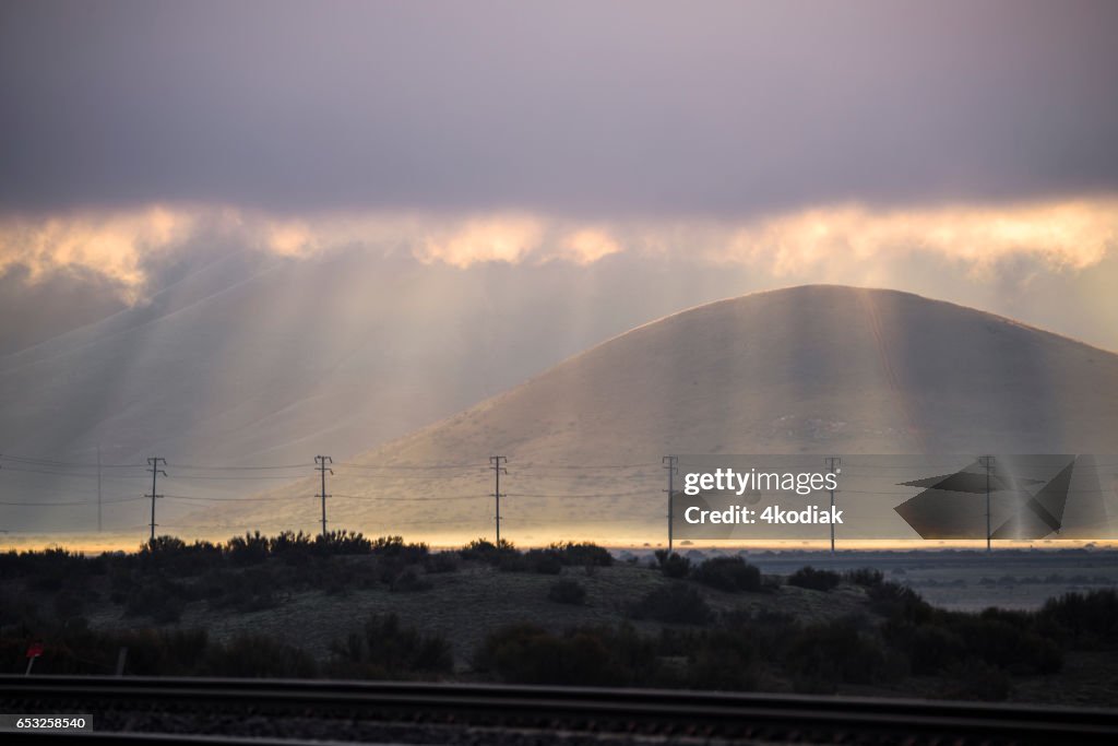 Morning Light