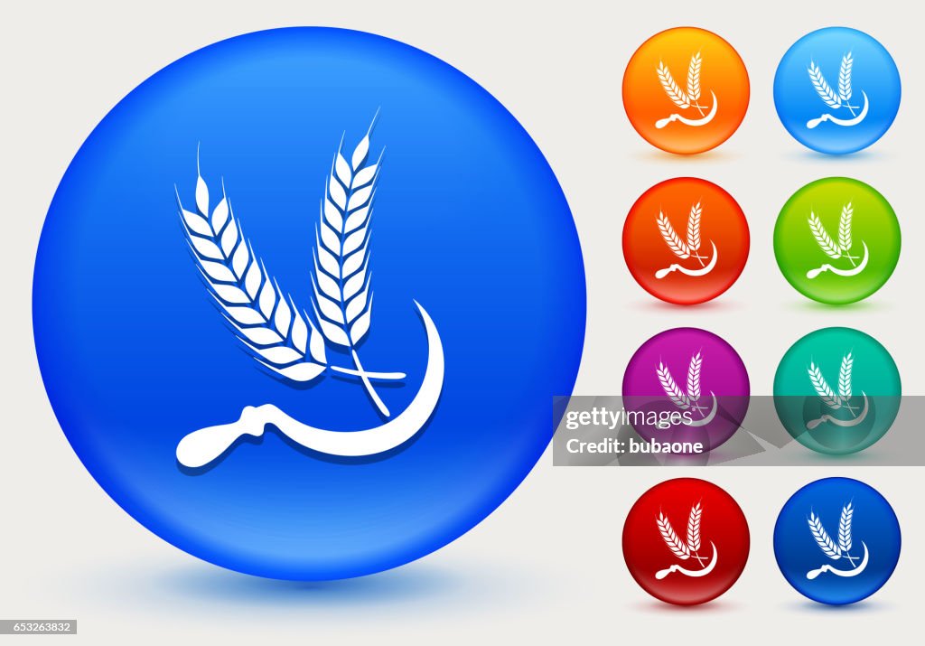 Wheat Icon on Shiny Color Circle Buttons