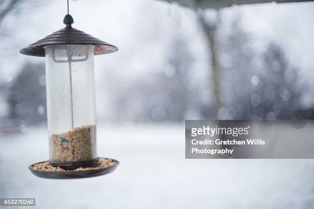 bird feeder in snow - bird feeder stockfoto's en -beelden