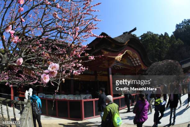 General view of the Dazaifu Tenmangu Shrine on March 11, 2017 in Dazaifu, Fukuoka, Japan.
