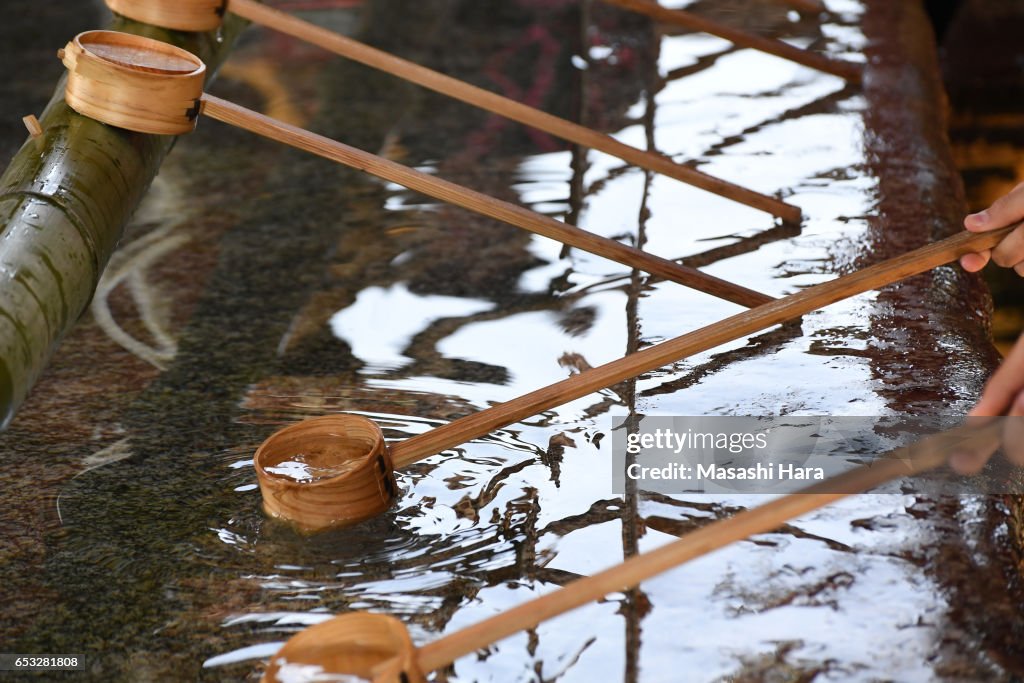 Plum In Bloom At Dazaifu Tenmangu Shrine