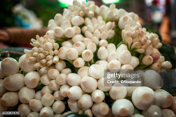 scallion or cebollitas - scallion brush stock pictures, royalty-free photos & images