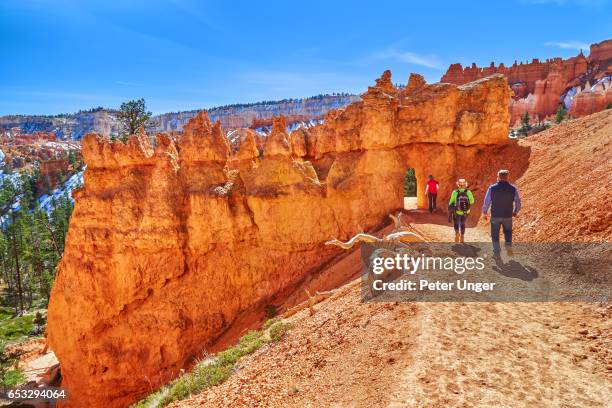 bryce canyon national park,utah,usa - bryce canyon national park stock pictures, royalty-free photos & images