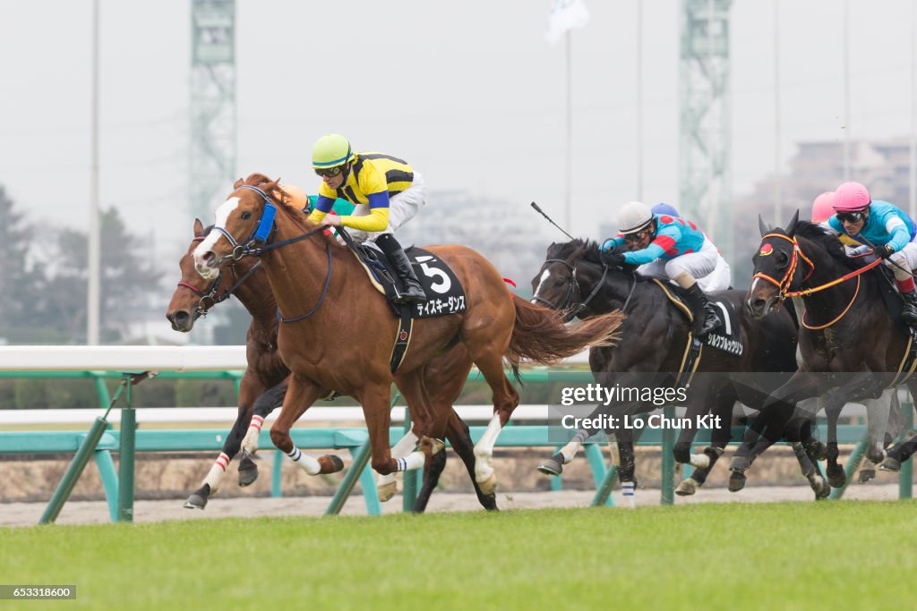 Horse Racing in Japan - Nakayama Racecourse