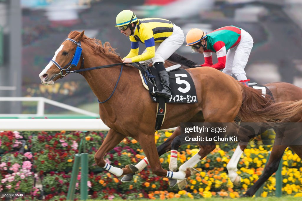 Horse Racing in Japan - Nakayama Racecourse