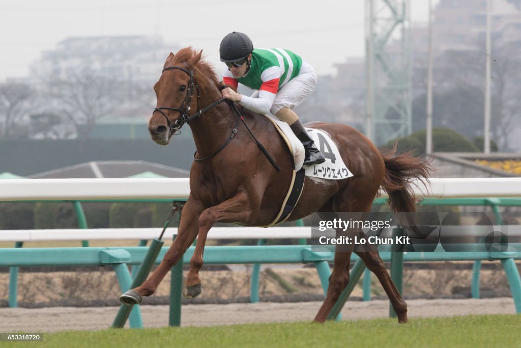Horse Racing in Japan - Nakayama Racecourse