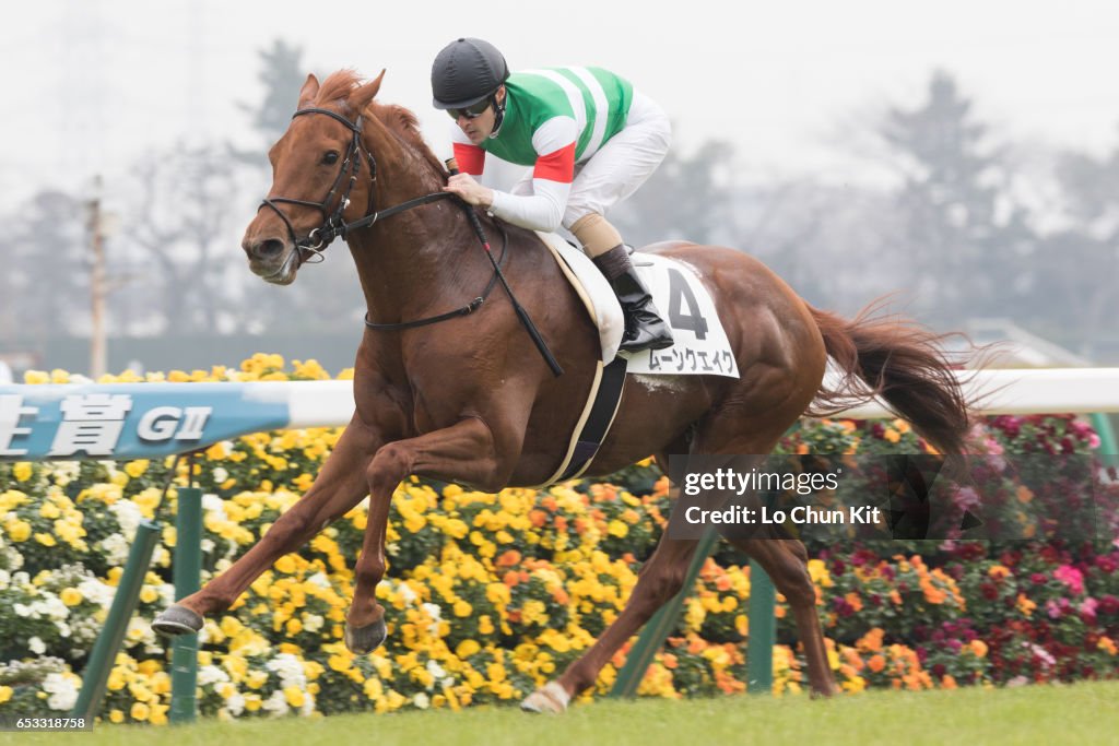 Horse Racing in Japan - Nakayama Racecourse