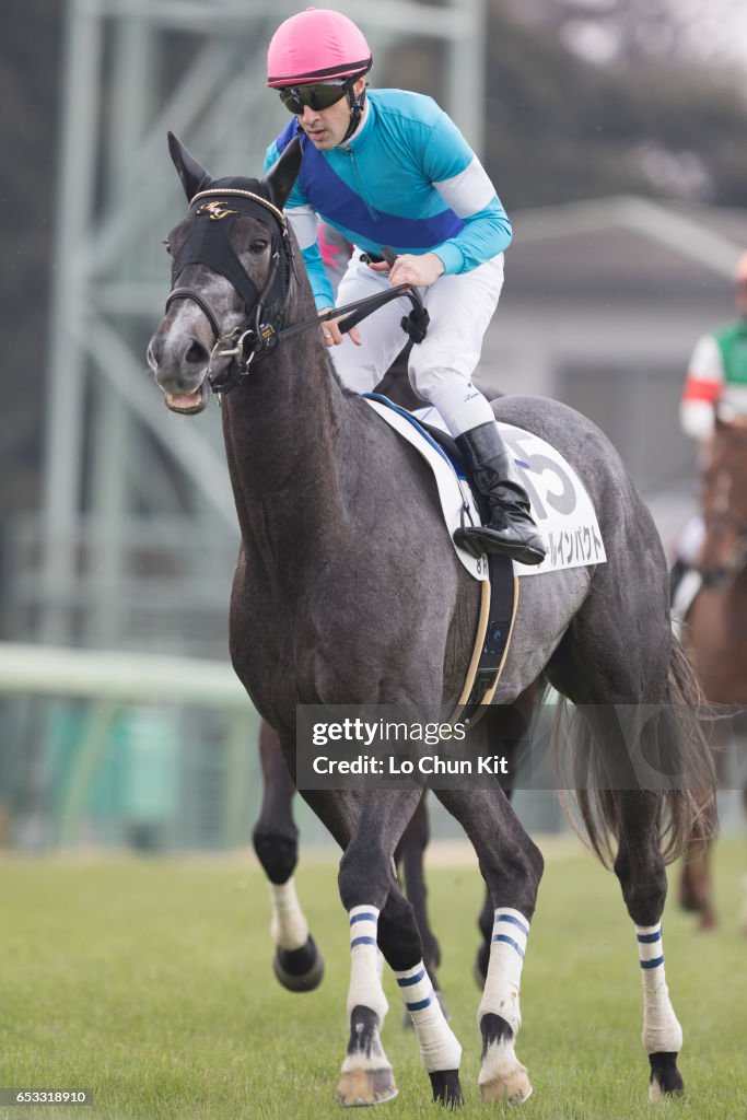 Horse Racing in Japan - Nakayama Racecourse