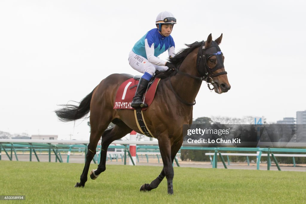 Yayoi Sho - Japanese 2000 Guineas Trial (G2 2000m) at Nakayama Racecourse, Japan