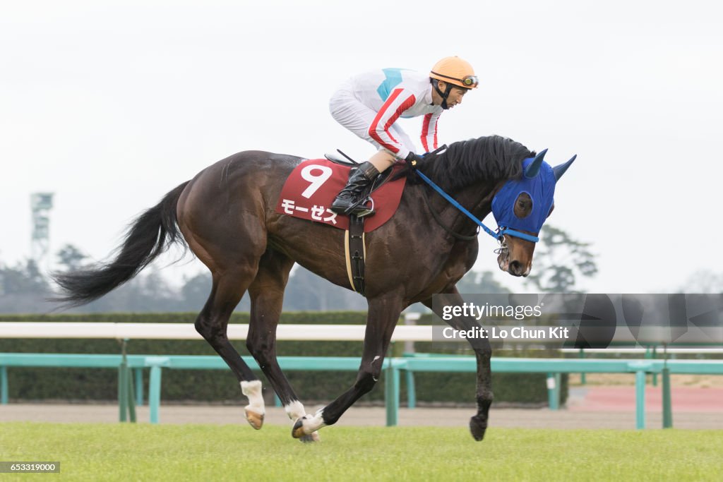 Yayoi Sho - Japanese 2000 Guineas Trial (G2 2000m) at Nakayama Racecourse, Japan