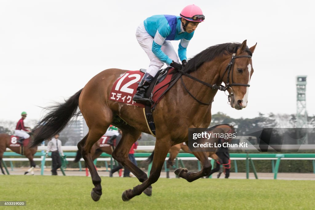 Yayoi Sho - Japanese 2000 Guineas Trial (G2 2000m) at Nakayama Racecourse, Japan