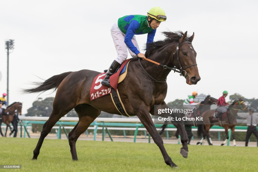 Yayoi Sho - Japanese 2000 Guineas Trial (G2 2000m) at Nakayama Racecourse, Japan