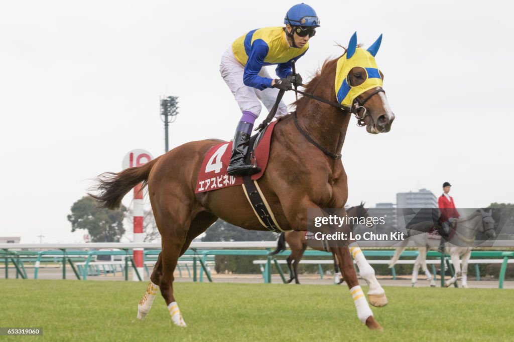 Yayoi Sho - Japanese 2000 Guineas Trial (G2 2000m) at Nakayama Racecourse, Japan