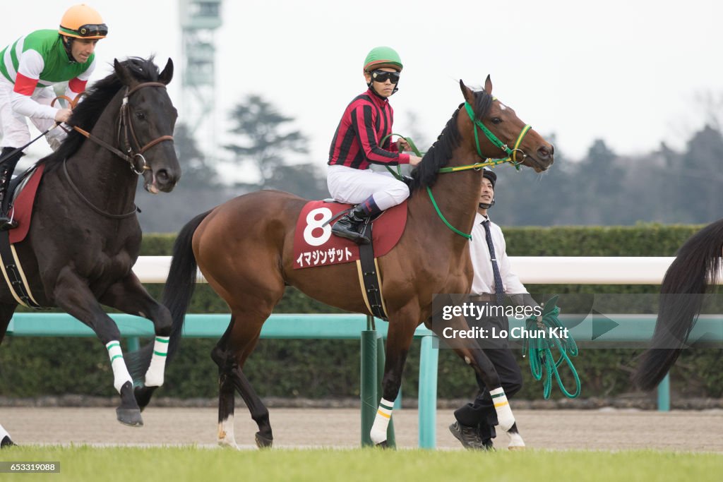 Yayoi Sho - Japanese 2000 Guineas Trial (G2 2000m) at Nakayama Racecourse, Japan