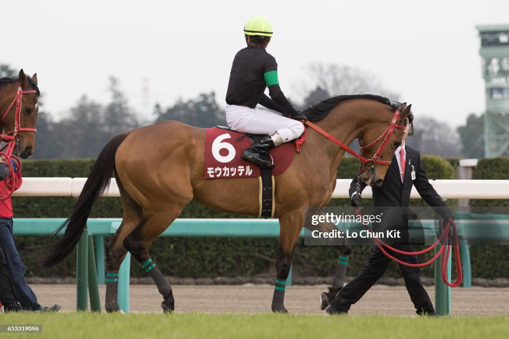 Yayoi Sho - Japanese 2000 Guineas Trial (G2 2000m) at Nakayama Racecourse, Japan