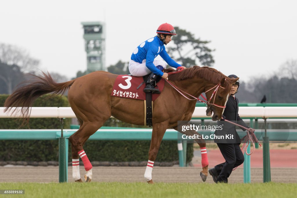 Yayoi Sho - Japanese 2000 Guineas Trial (G2 2000m) at Nakayama Racecourse, Japan