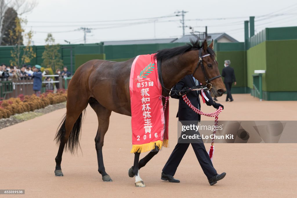 Makahiki wins Yayoi Sho - Japanese 2000 Guineas Trial (G2 2000m) at Nakayama Racecourse, Japan