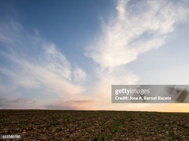 sunset with clouds of orange color on a ploughed field the primavera - marsh mallow plant stock pictures, royalty-free photos & images